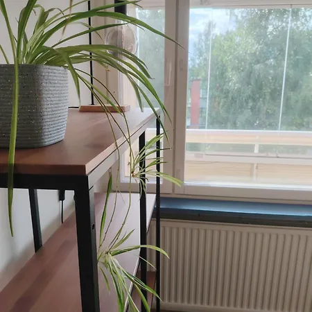 Apartamento Tilava Yksioe Parvekkeella Joensuu